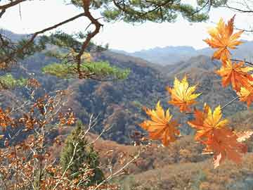 jingjingyeye 第35页