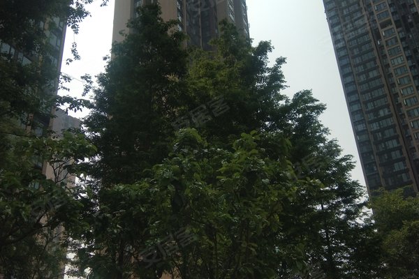 第5283页