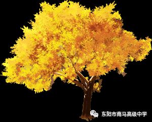 admin 第188页