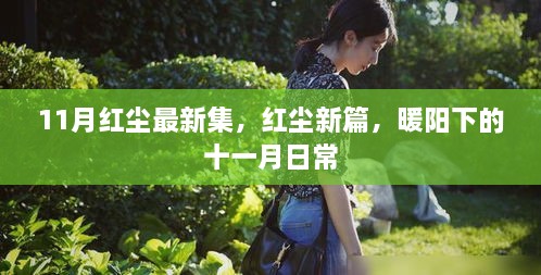 产品展示 第694页