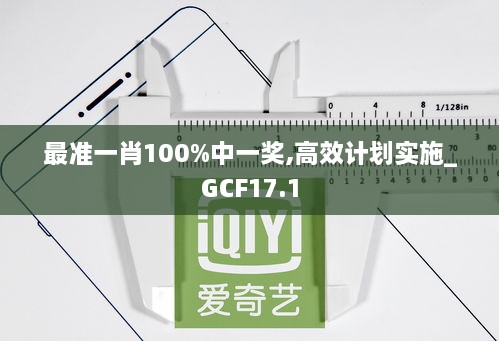 最准一肖100%中一奖,高效计划实施_GCF17.1