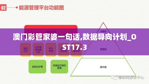 澳门彩管家婆一句话,数据导向计划_OST17.3