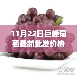 关于我们 第585页