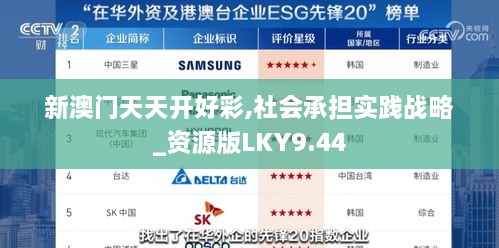 新澳门天天开好彩,社会承担实践战略_资源版LKY9.44