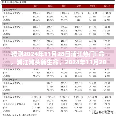 admin 第25页