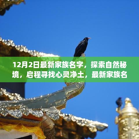 心灵之旅 第5页