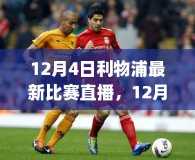 全方位解读