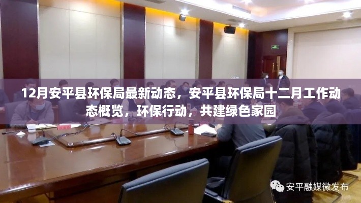 最新动态概览