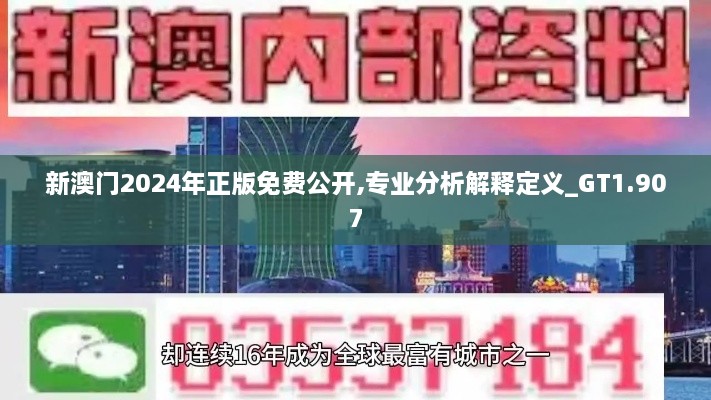 新澳门2024年正版免费公开,专业分析解释定义_GT1.907