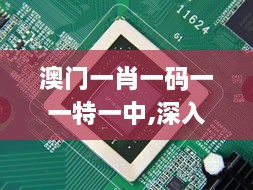 关于我们 第207页
