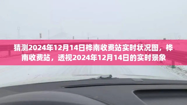 交通状况透视