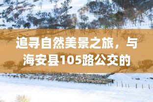 fenghuangyufei 第6页