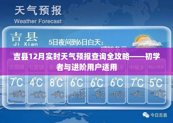 查询攻略