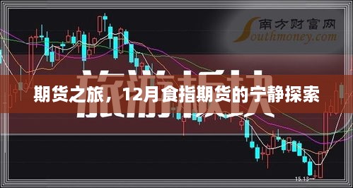 产品展示 第101页