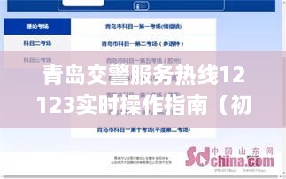 教程（初学者与进阶用户）