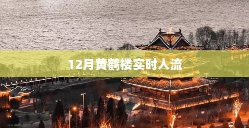 duidaruliu 第3页