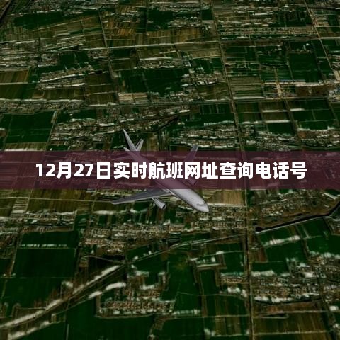 航班查询电话及实时航班网址查询服务