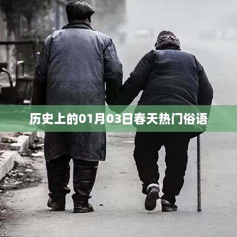 行业资讯 第44页