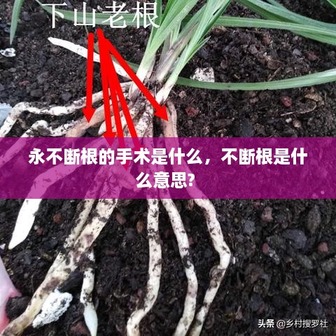关于我们 第25页
