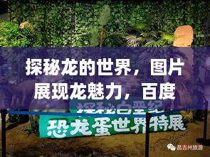 探秘龙的世界，图片展现龙魅力，百度带你一起领略！